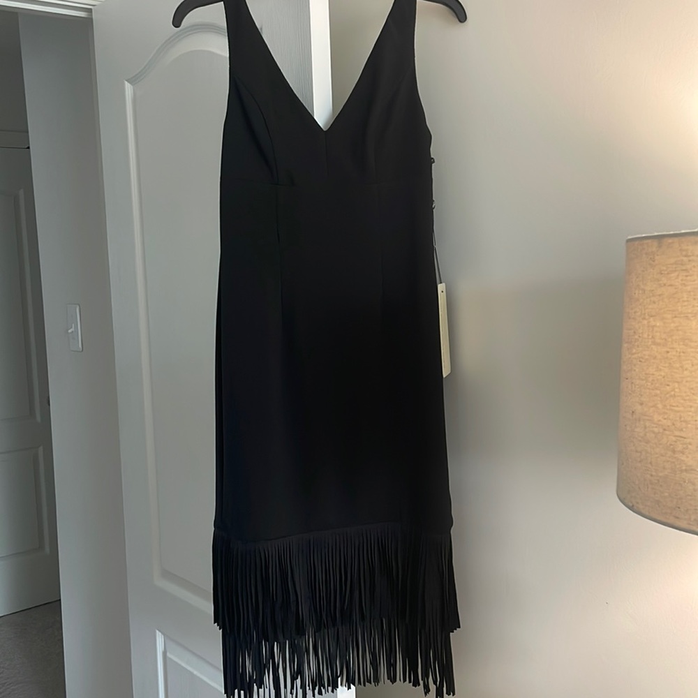 Adrianna Pappell ottoman V-Neck Fringe Dress